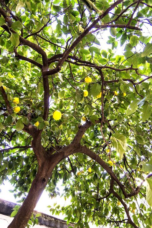 فيلا Il Limone A San Pietro روما الغرفة الصورة